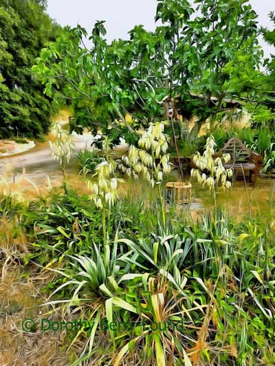 Flower Spikes in Early Summer Puzzle by Dorothy Berry-Lound