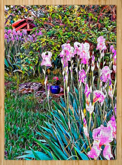 My Secret Iris Garden Puzzle by Dorothy Berry-Lound