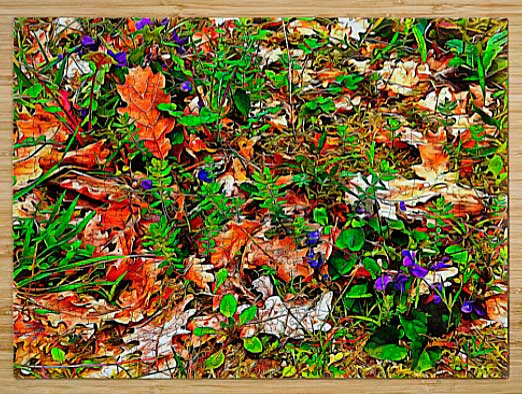 Where Wild Violets Grow Puzzle by Dorothy Berry-Lound