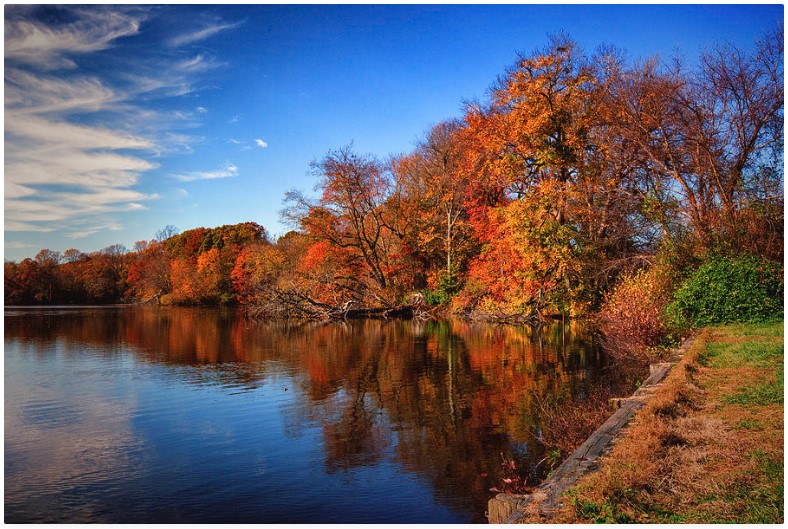 autumn at coursey pond jigsaw puzzle