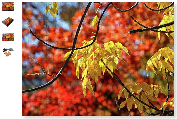 autumn foliage in bar harbor maine jigsaw puzzle